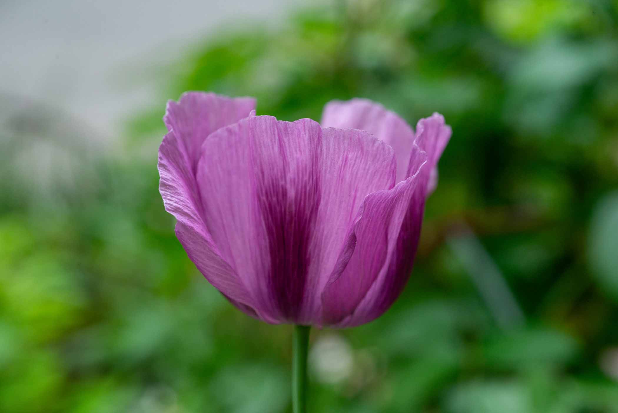 W-PE8_9619.jpg