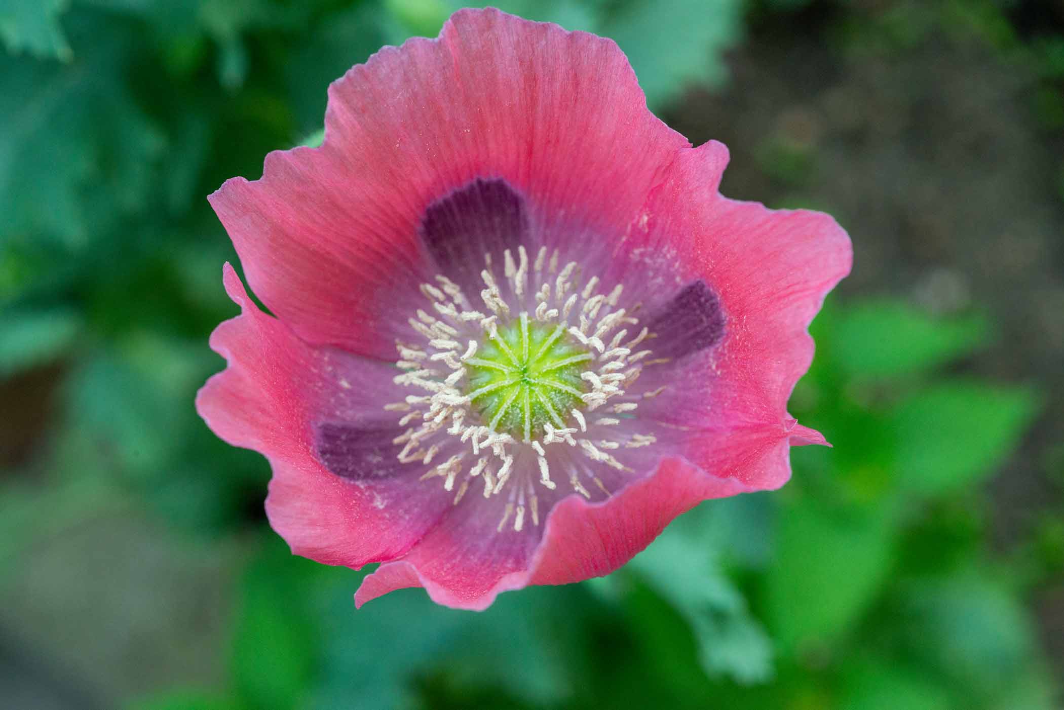 W-PE8_9633.jpg