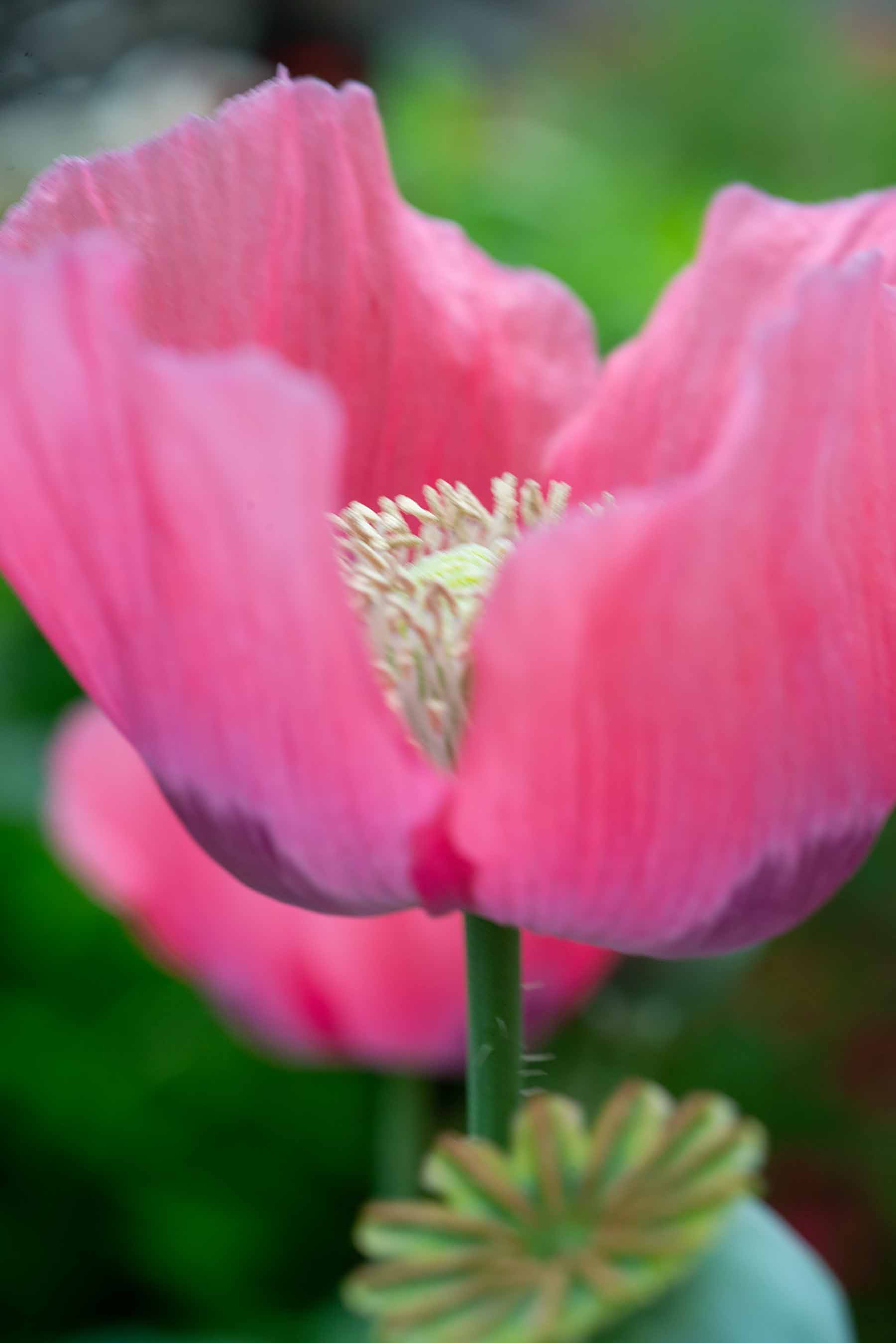 W-PE8_9645.jpg