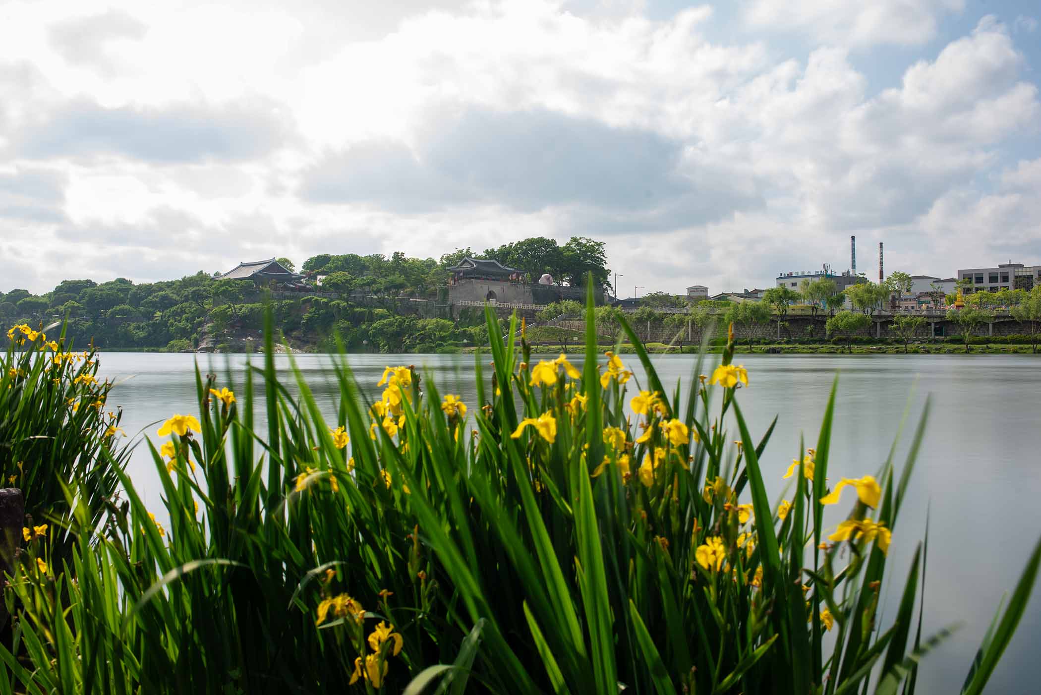 W-PE8_9746.jpg