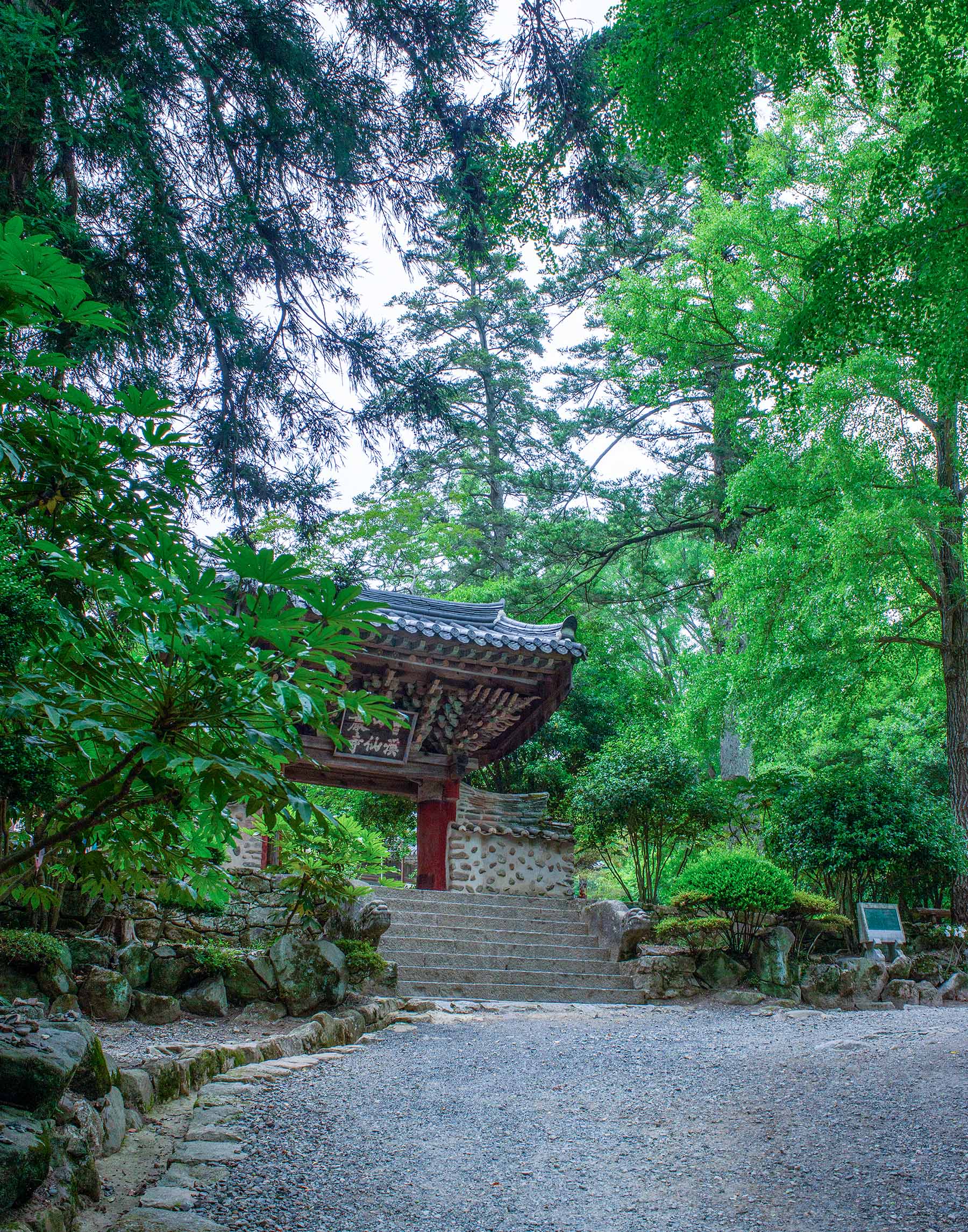 W-_P8D7658.jpg