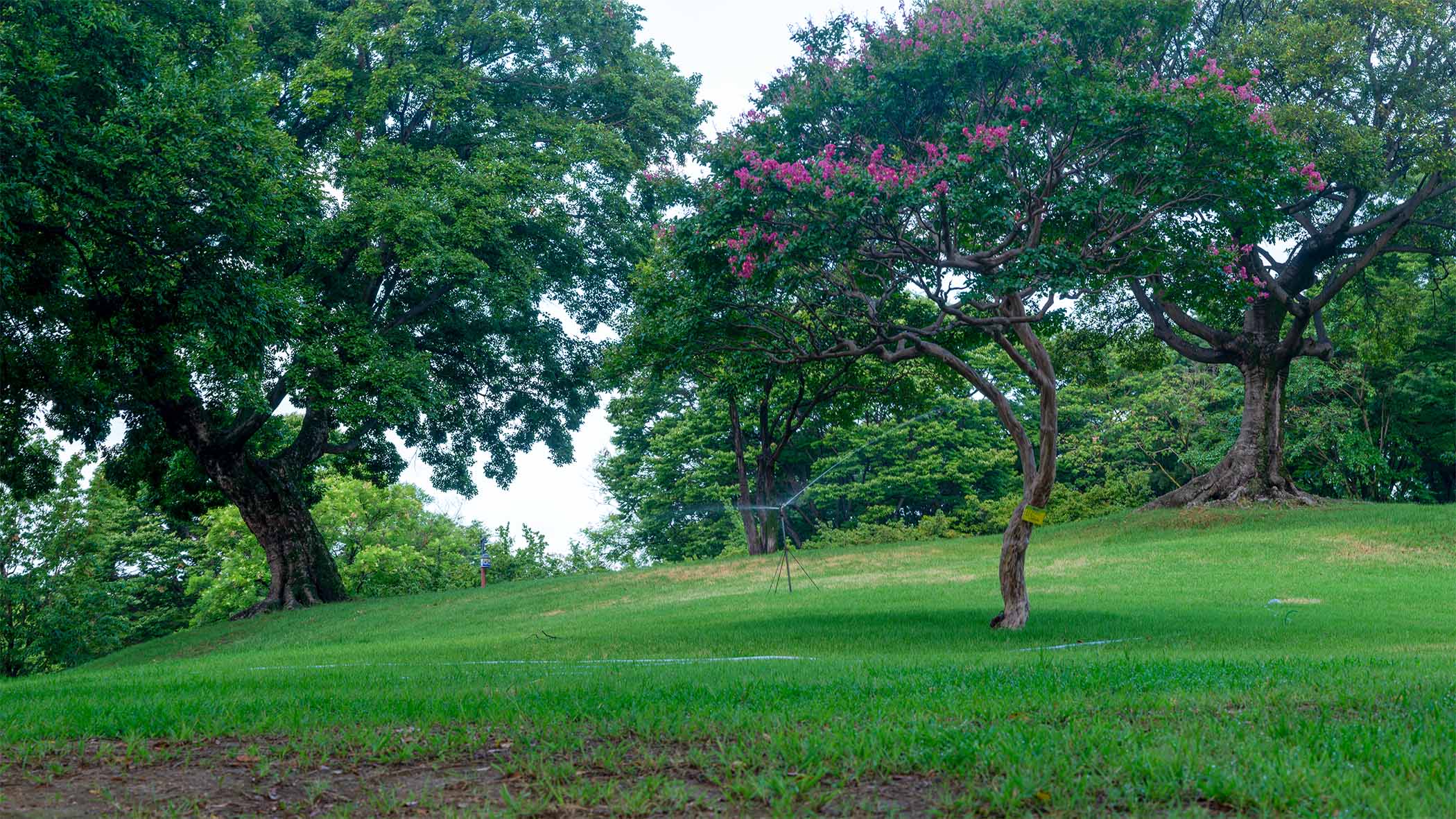 W-260805-14-105-Pano-C-2.jpg