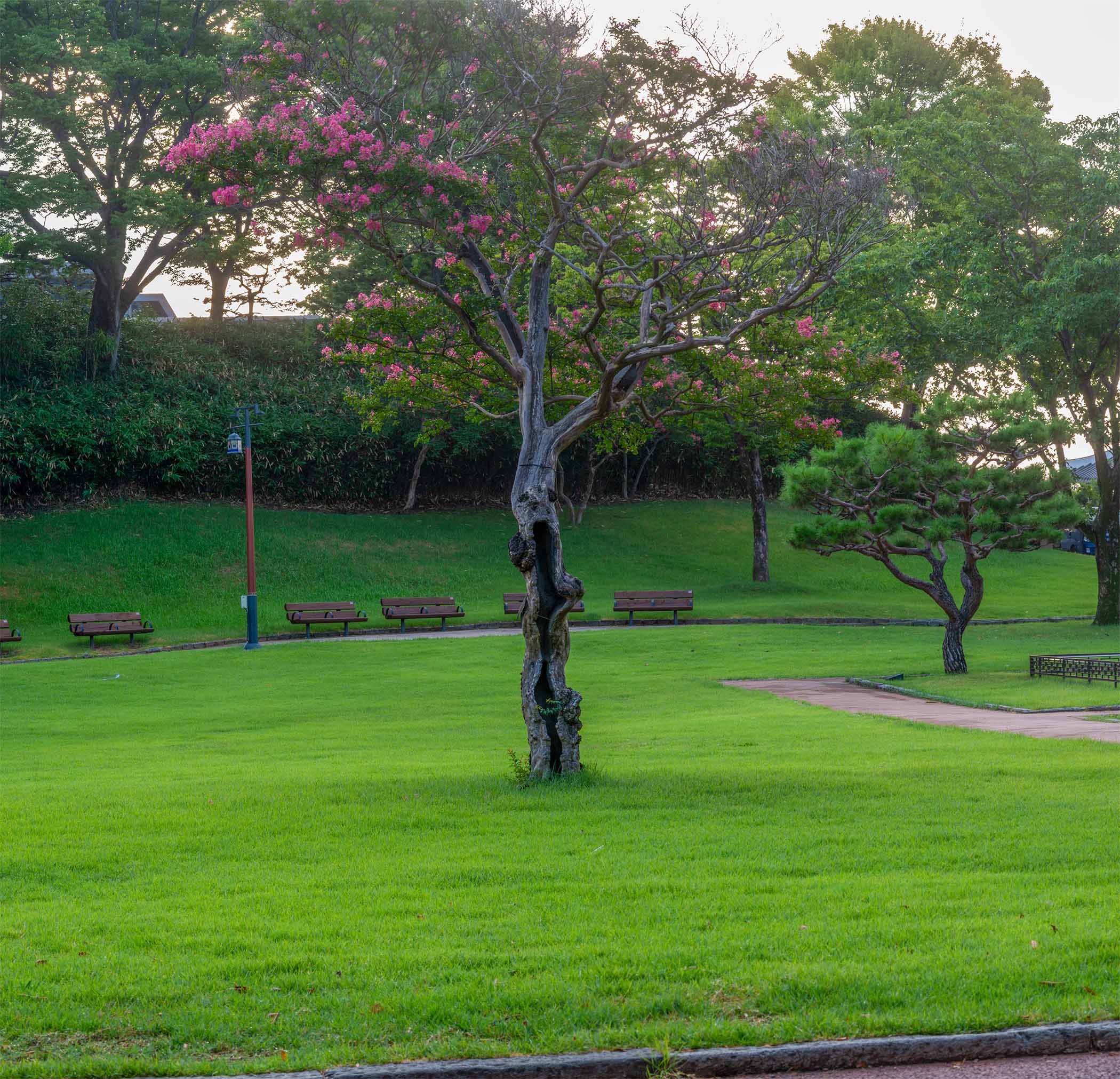 W-260805-17-105-Pano.jpg