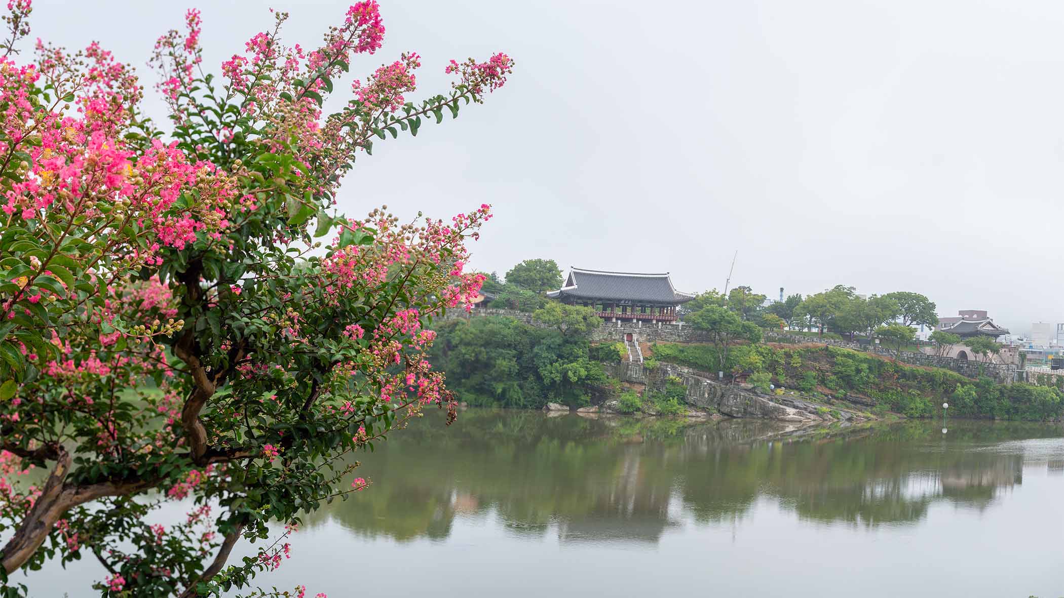 W-260820-8-60-Pano-C-2.jpg