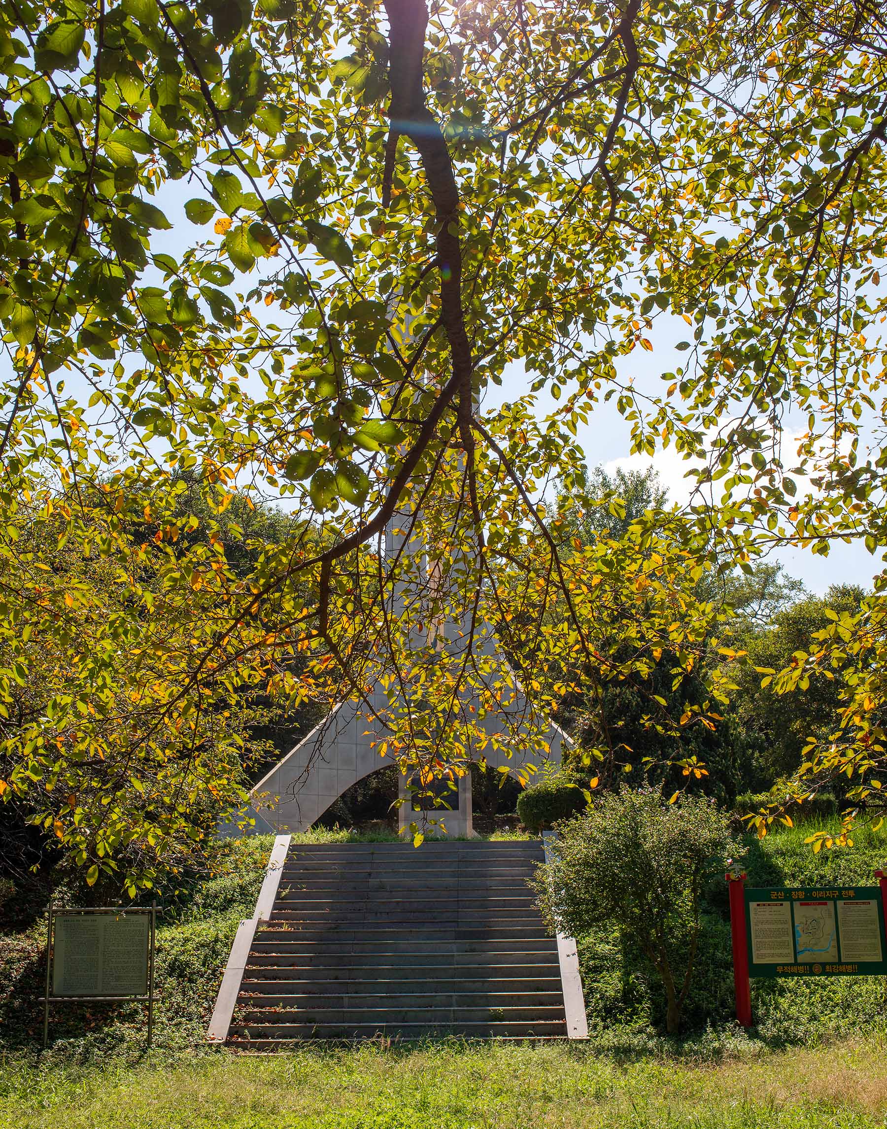 W-P8D_8175.jpg