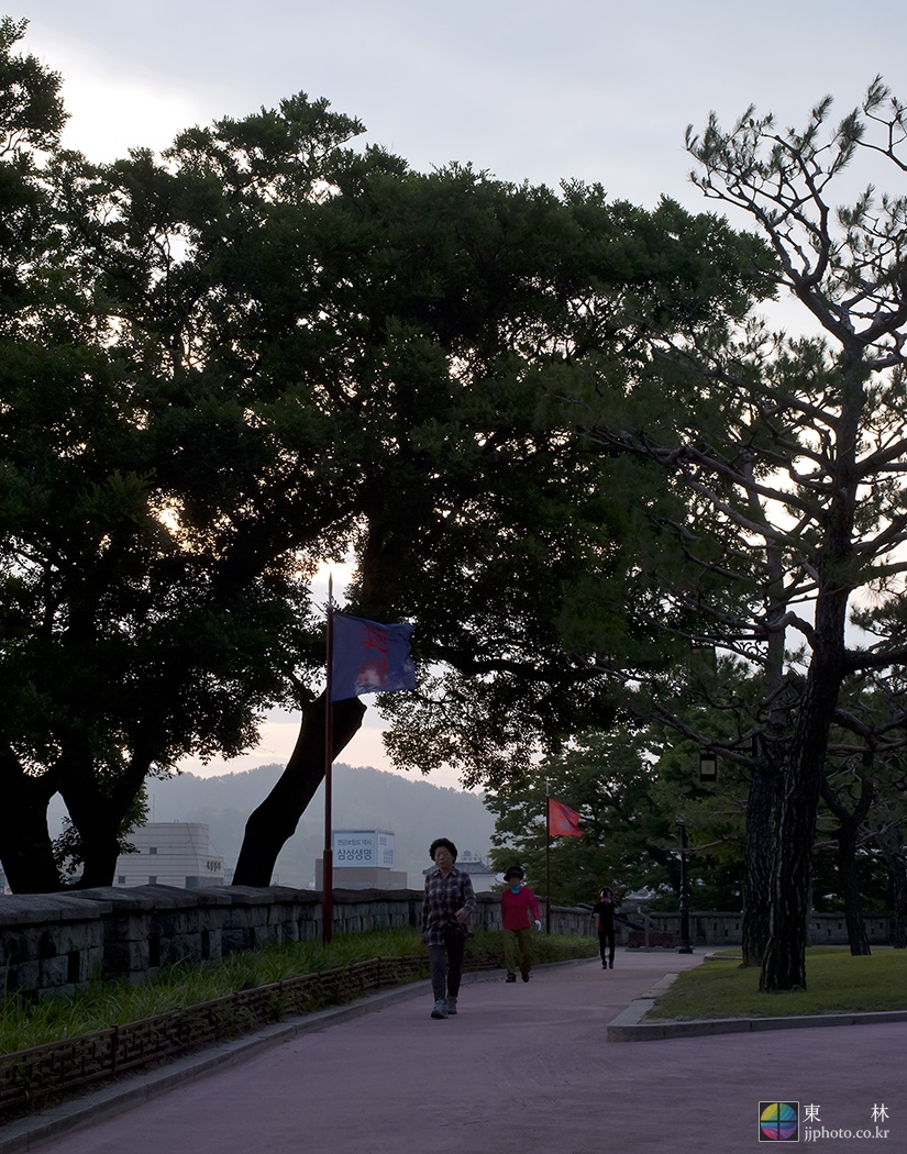 W-PSC_7498-11r.jpg